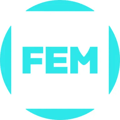 FEM
