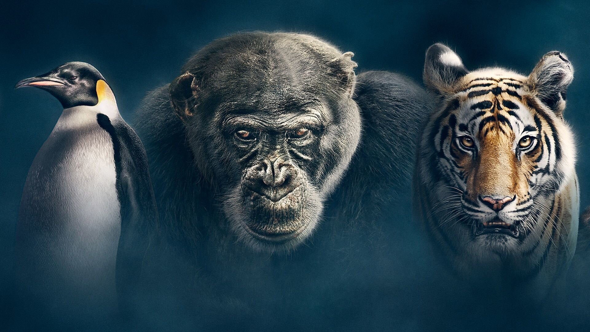 Dynasties: Making Of